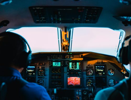 Your Comprehensive Guide to Flight Attendant Jobs in 2025